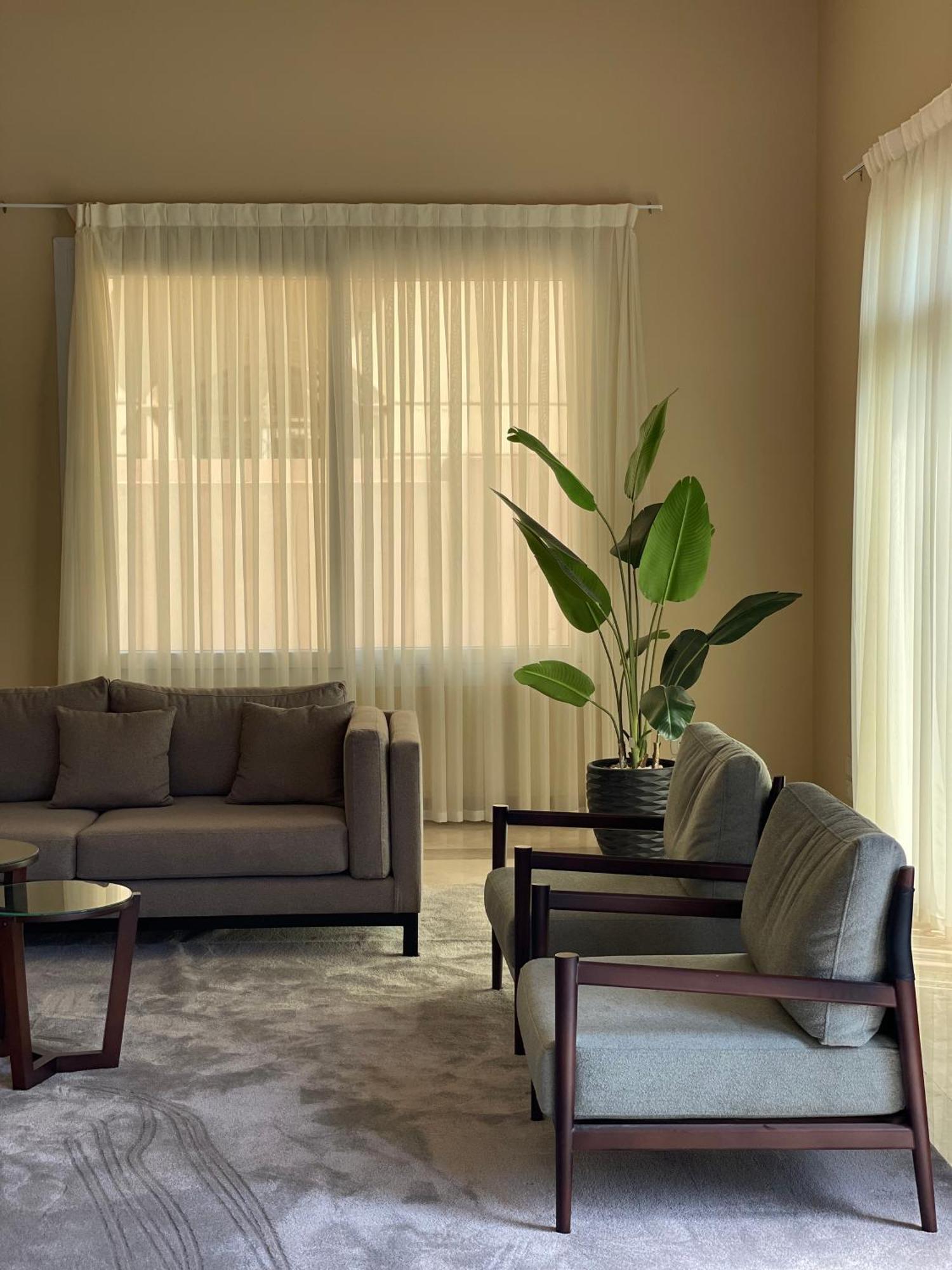 Livingville The Two-fifty * Cairo